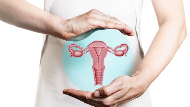 ilustrasi-organ-intim-wanita_169